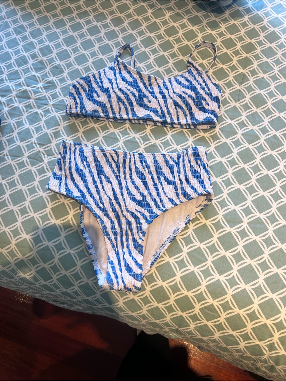 SHEIN Blue & White Zebra Print Girls Two-Piece Swim Set